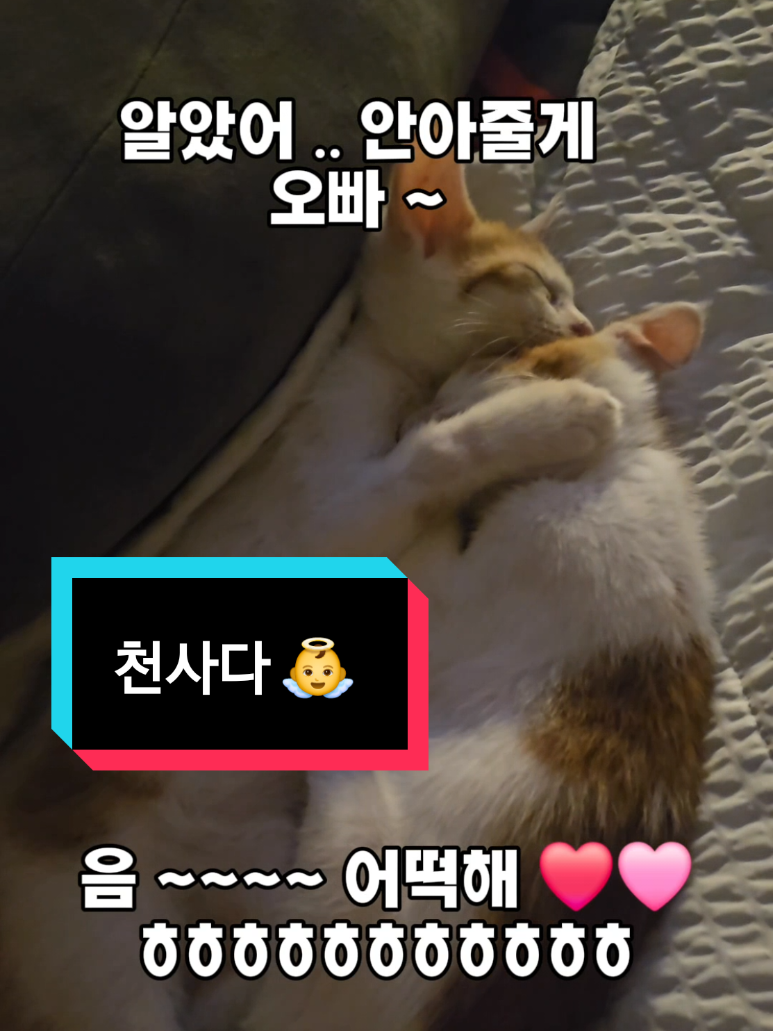 @🍩이상사&times;234🍩