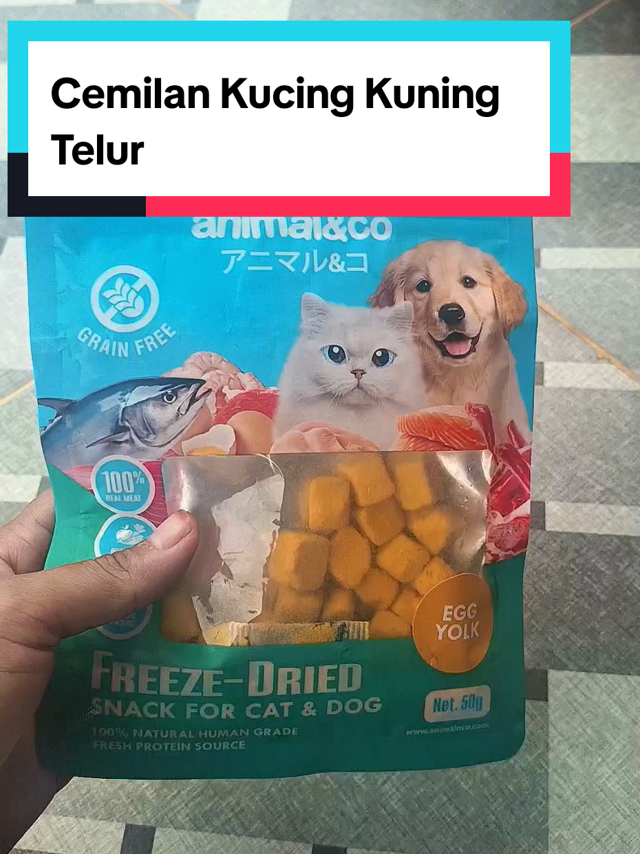 @Medayo Petcare