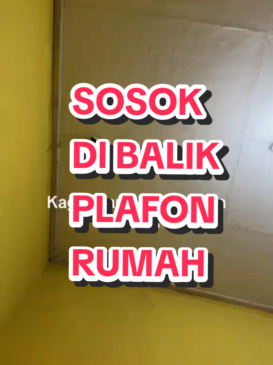@SCM MULTIMEDIA