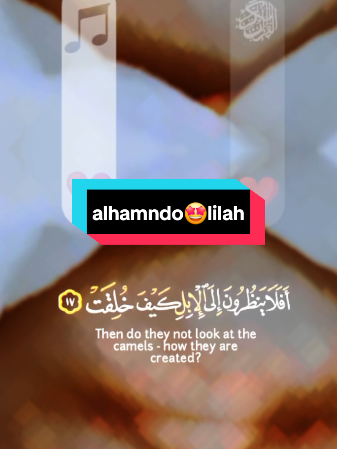 @modoubamba