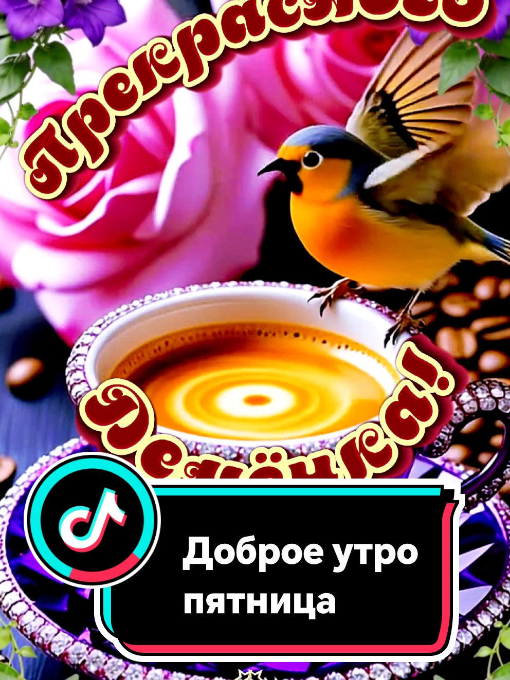 @꧁༺ 𝓛𝓮𝓷𝓸𝓬𝓱𝓴𝓪 ༻꧂