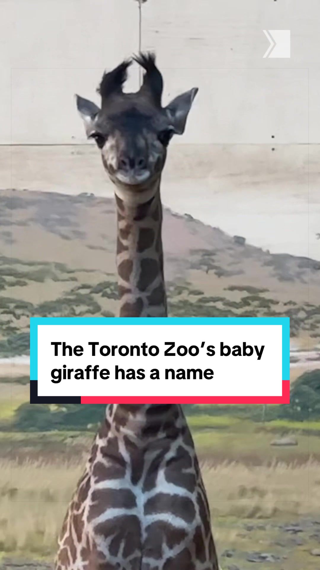 @Toronto Star