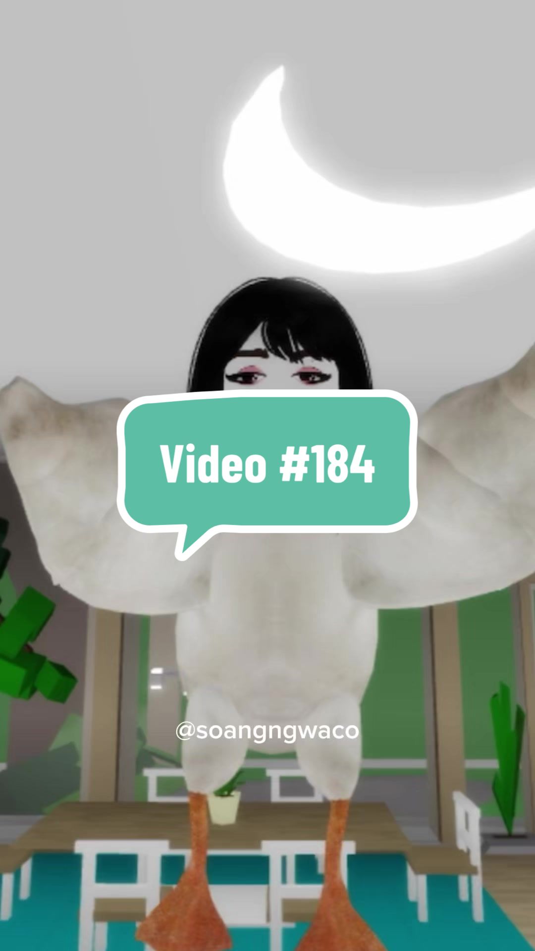 @SoangNgwaco