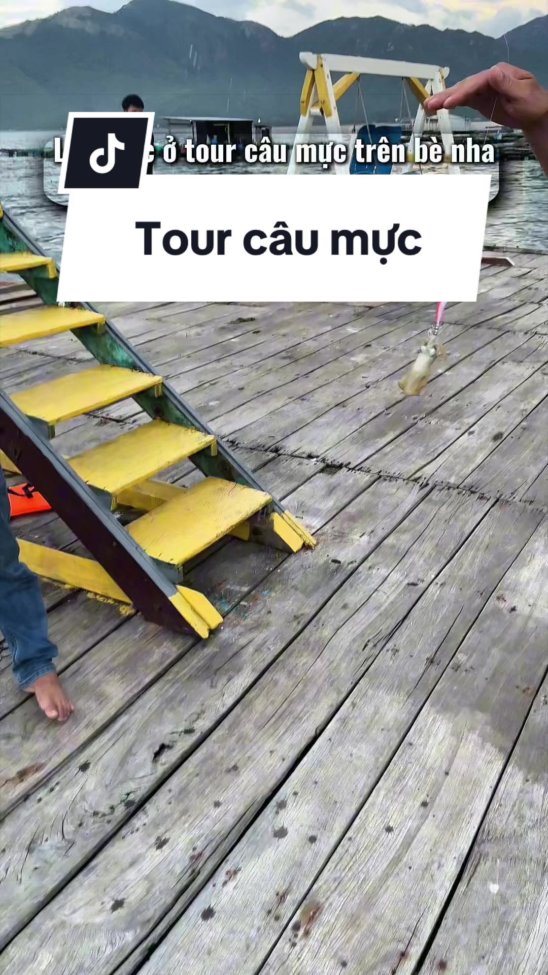 @Duy Tour C&acirc;u C&aacute; C&acirc;u Mực NTrang