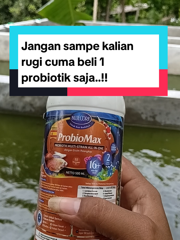 @Kang_Ewi