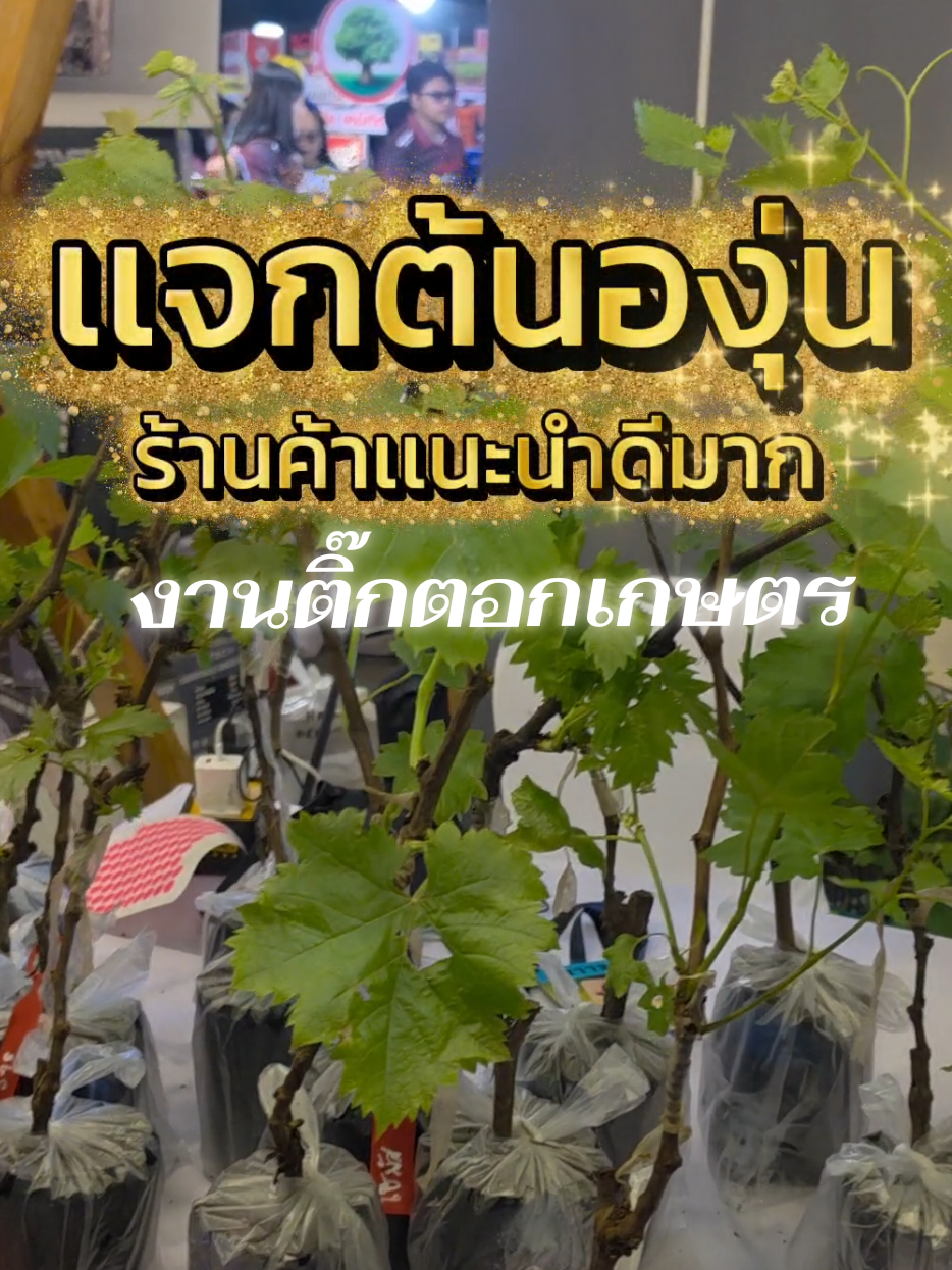 @อ.วัฒน์ มารีวิว