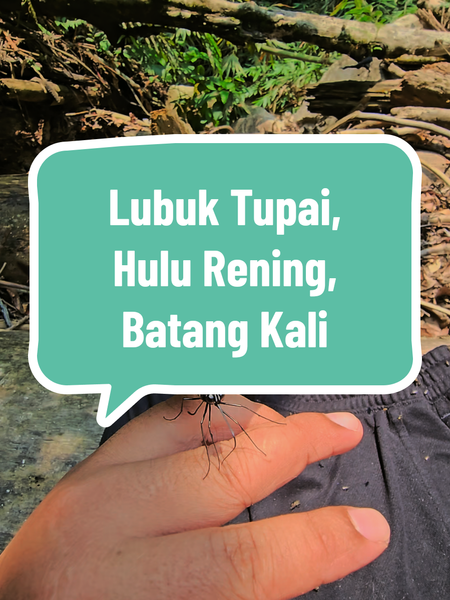 @Shuk | Nature Explorer