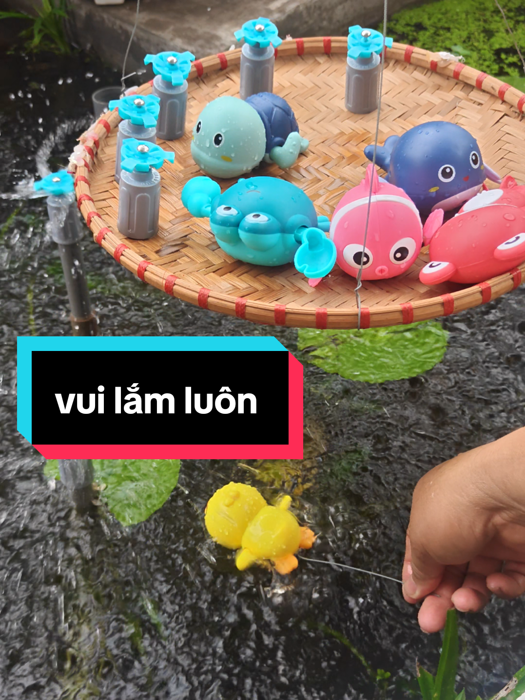 @Con Ghẻ Của TikTok 3