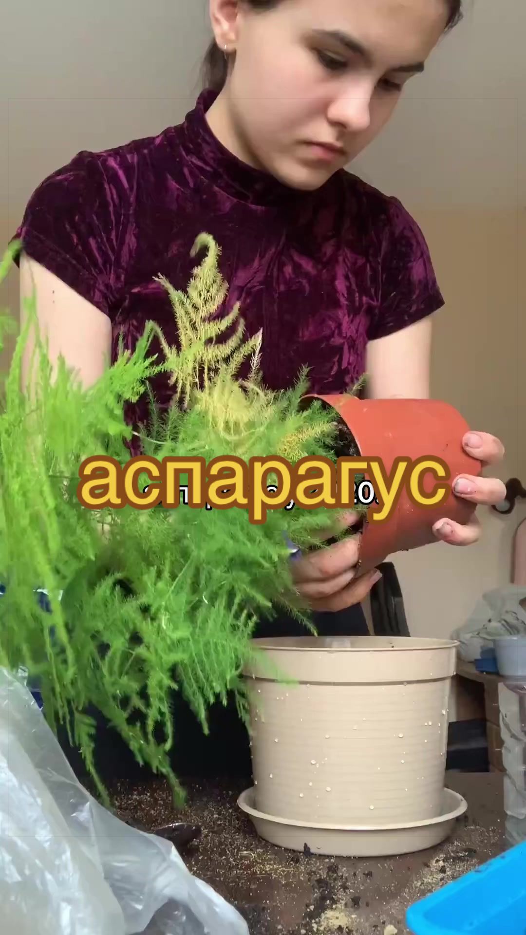 @🧚леся🧚