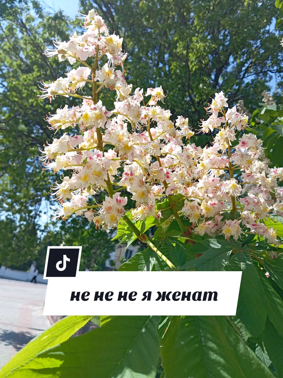 @Рыся✔️🇧🇾