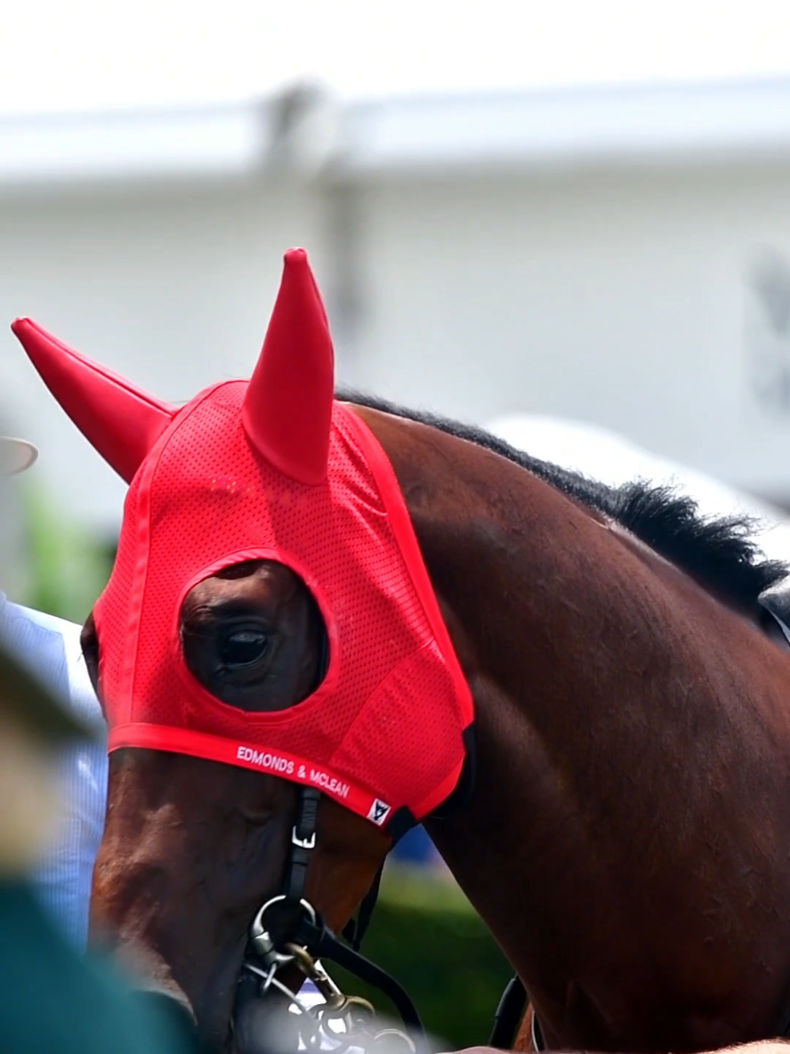 @TOBY EDMONDS RACING