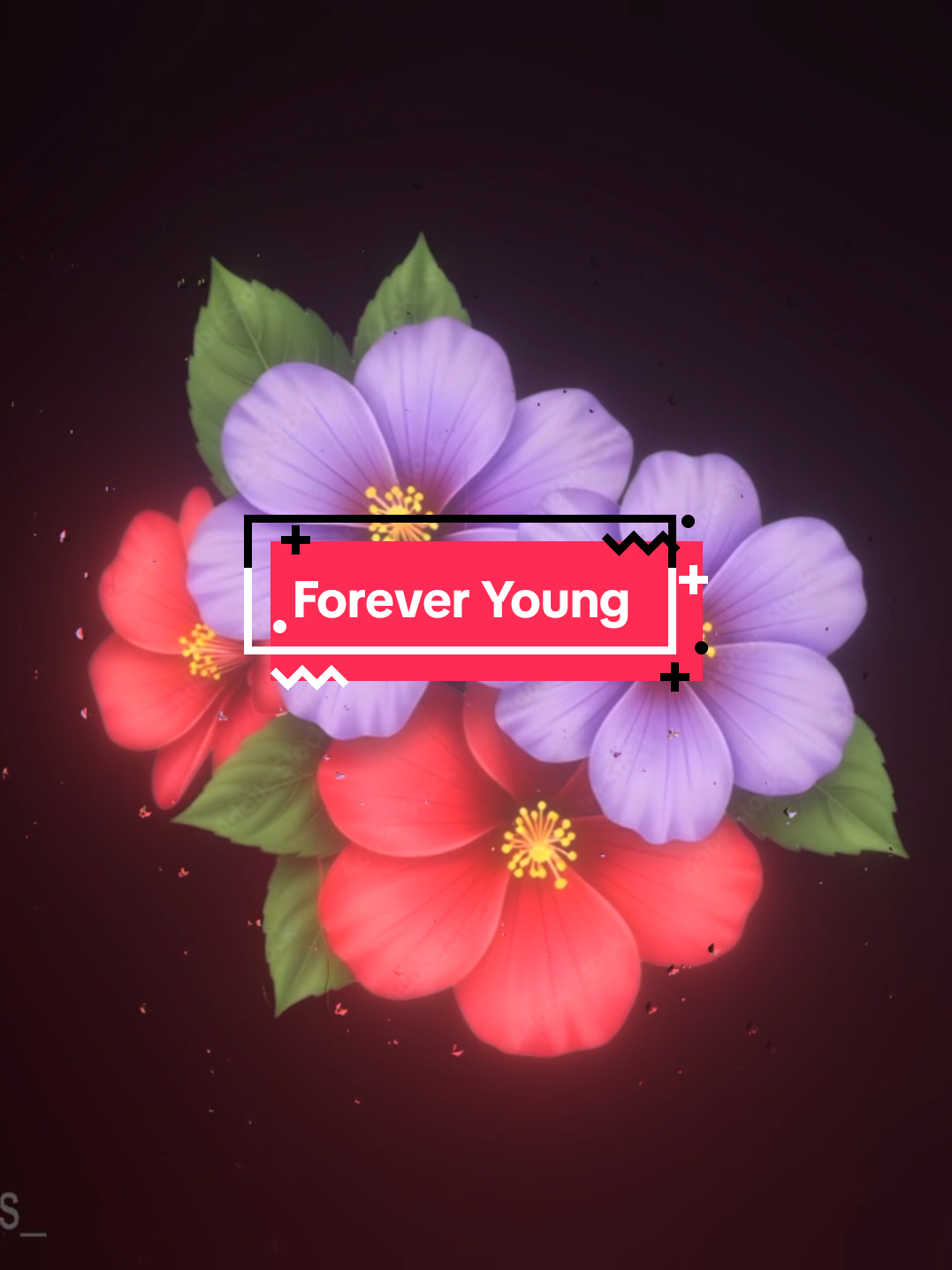 @𝟑𝟎𝟑 𝐑𝐲𝐡𝐧