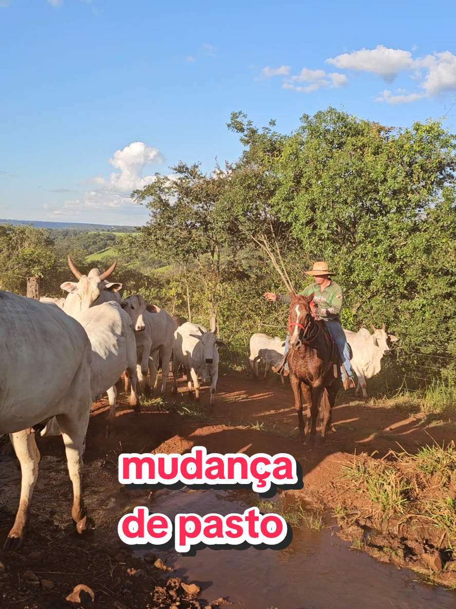 @Geovane neto
