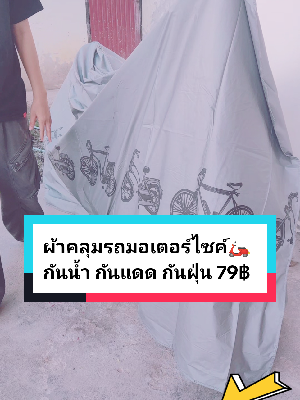 @ใหม่ทาสแมว (ช่องหลัก)