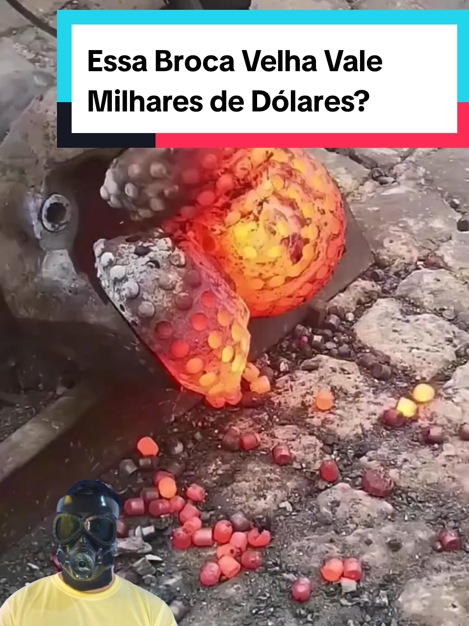 @Mundo da Curiosidades