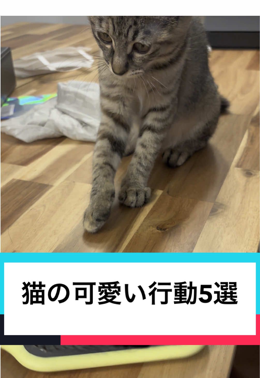 @ルーレオ