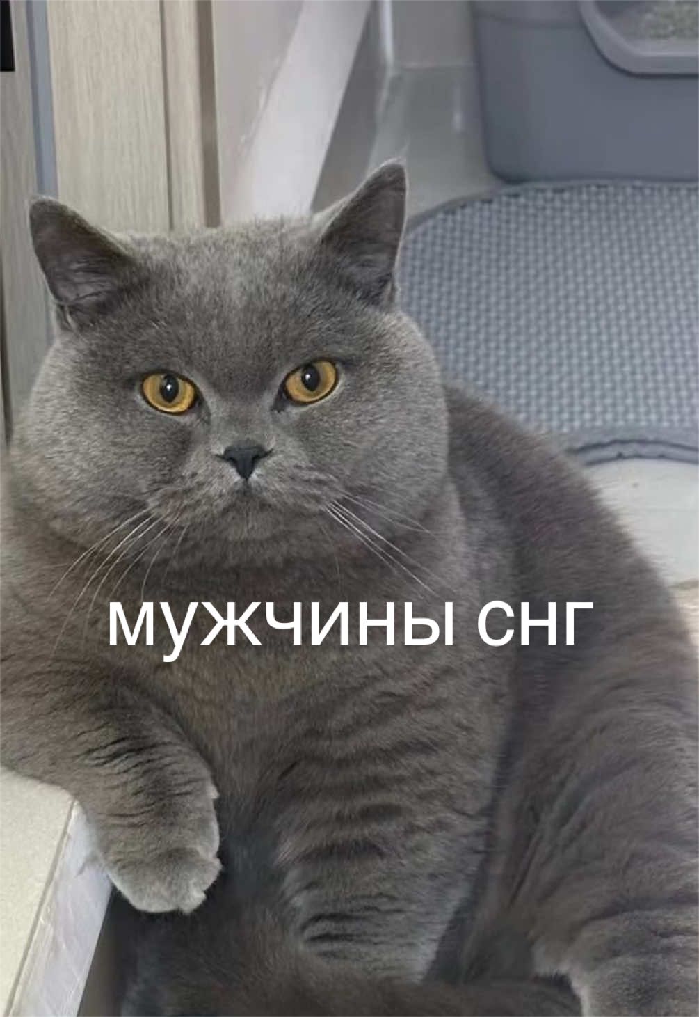 @мамин хep