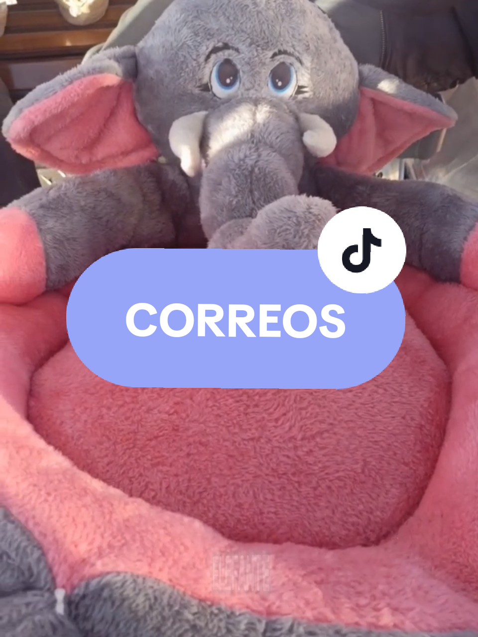 @Minxgia Pets