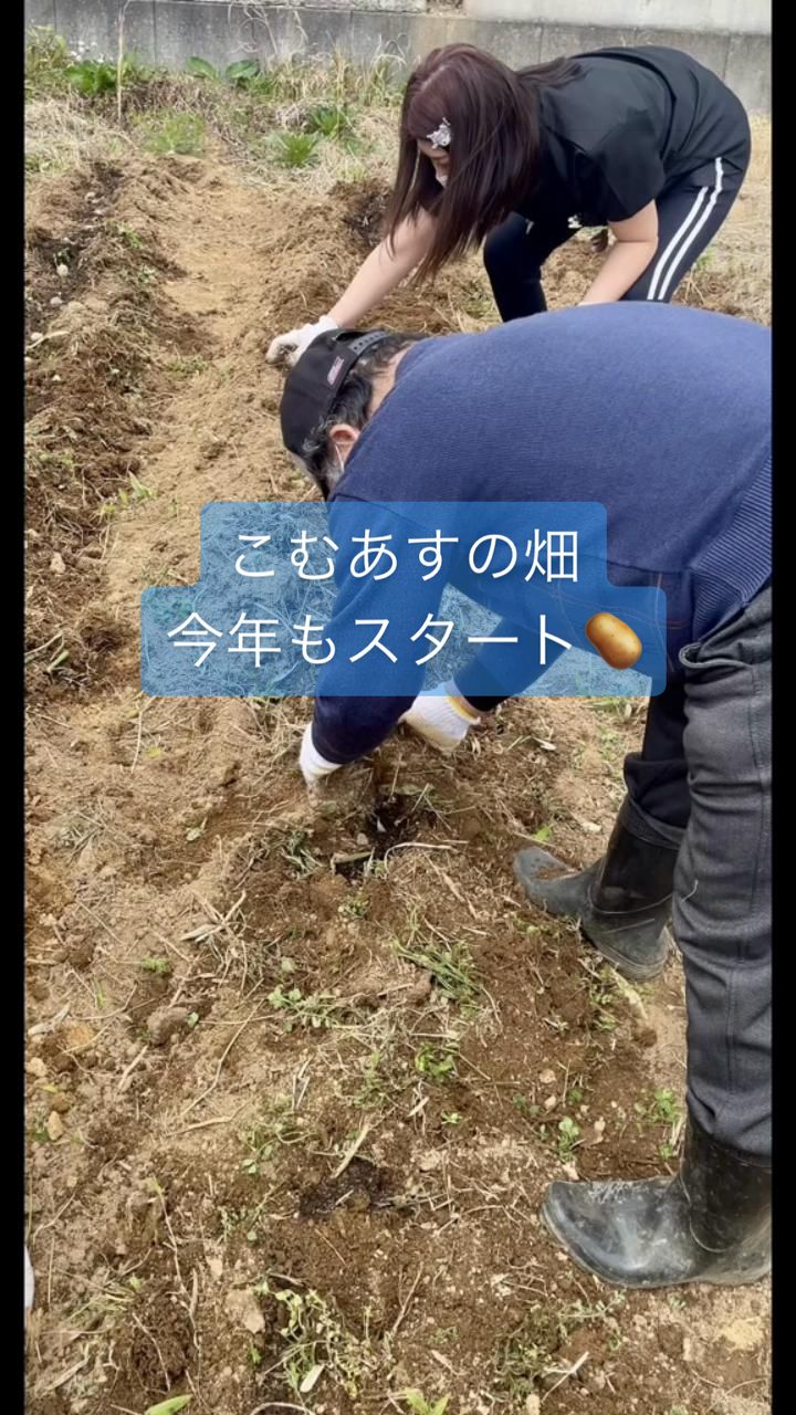 @株式会社コムアス
