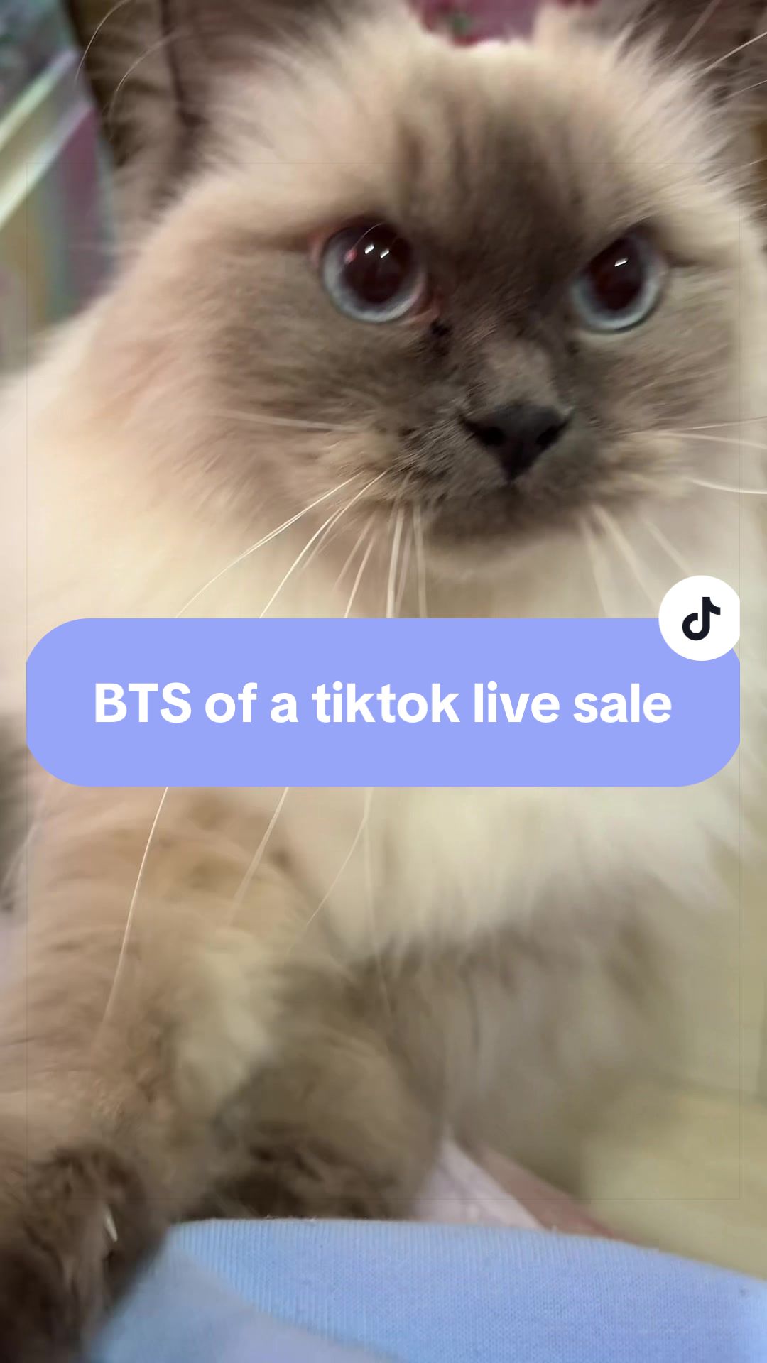 @Fiona | cutesieskeychains.com