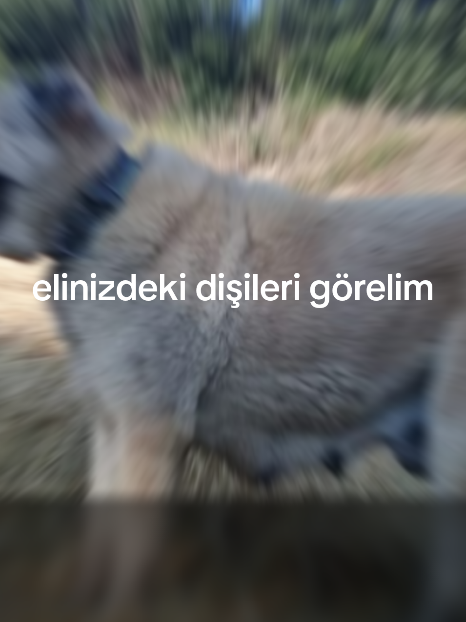 @UMUT.55