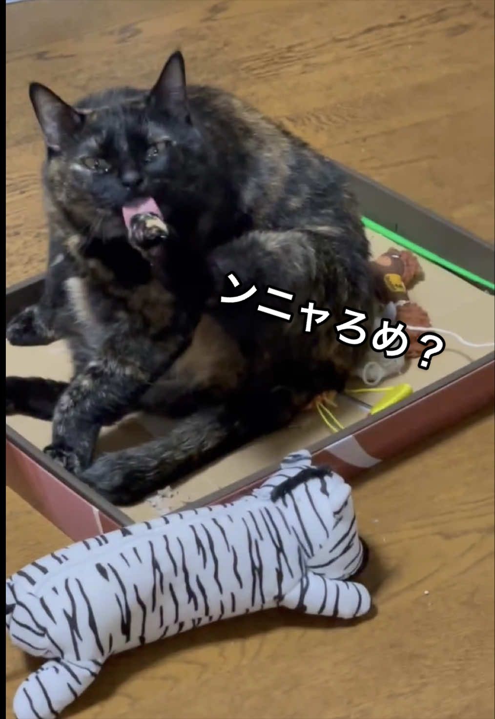 @聴々物語PROJECT