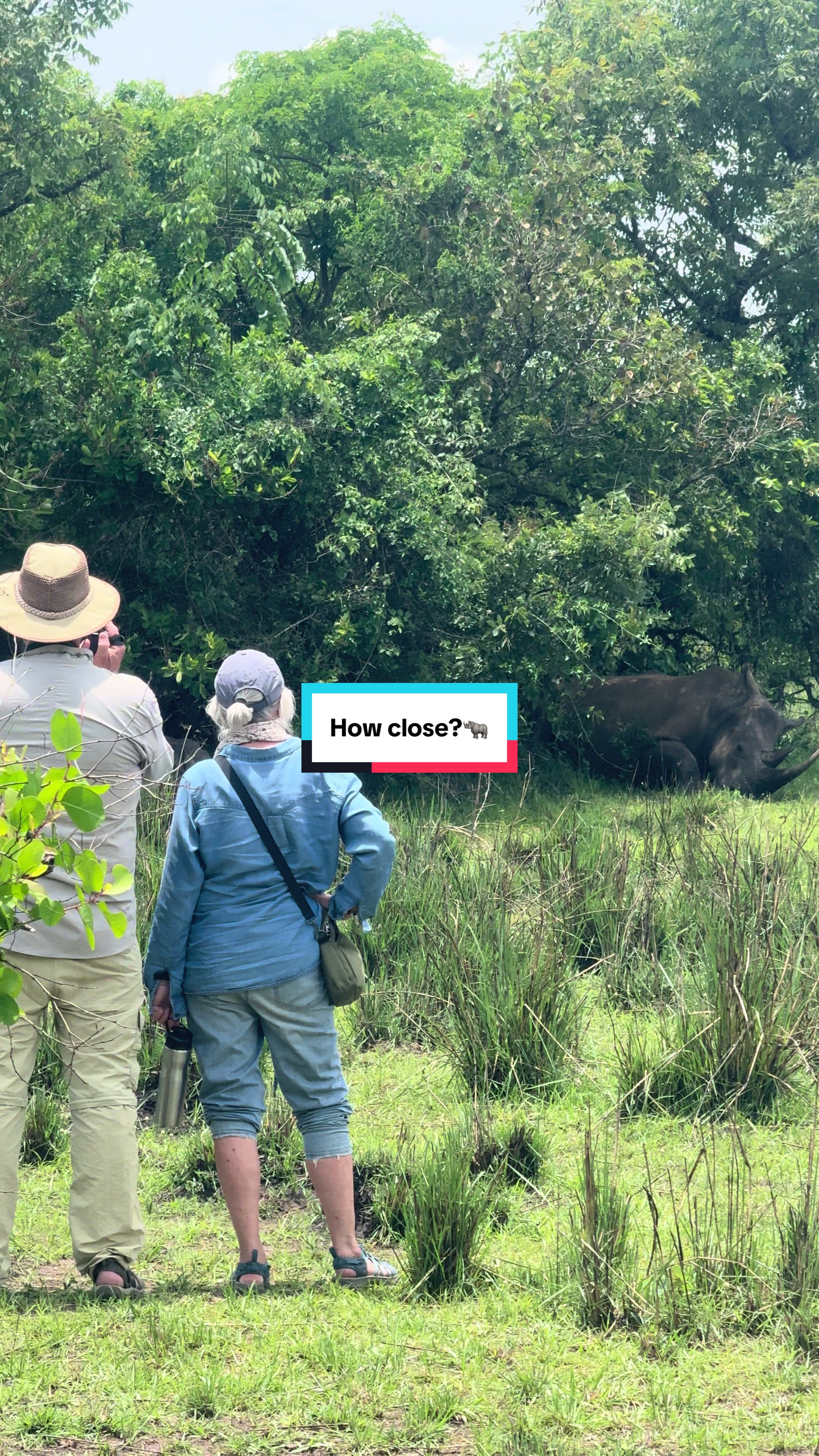 @Milana Tours and Safaris