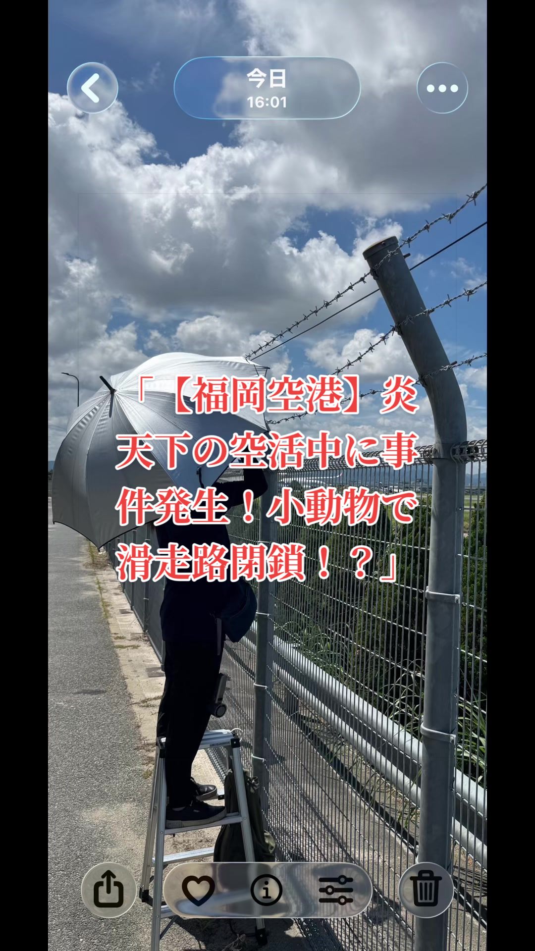 @✈️トト旦