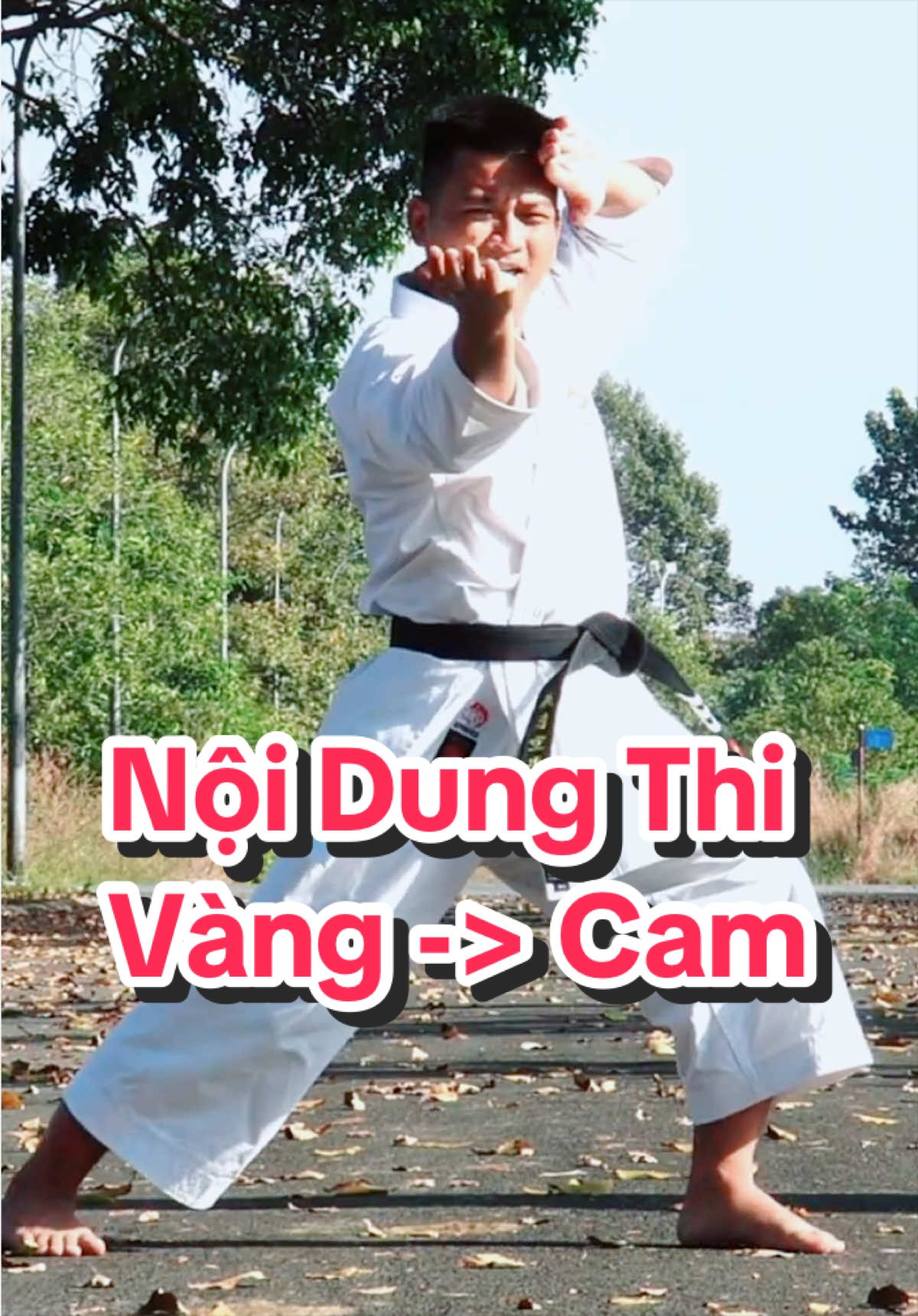 @Quang Hải NDK