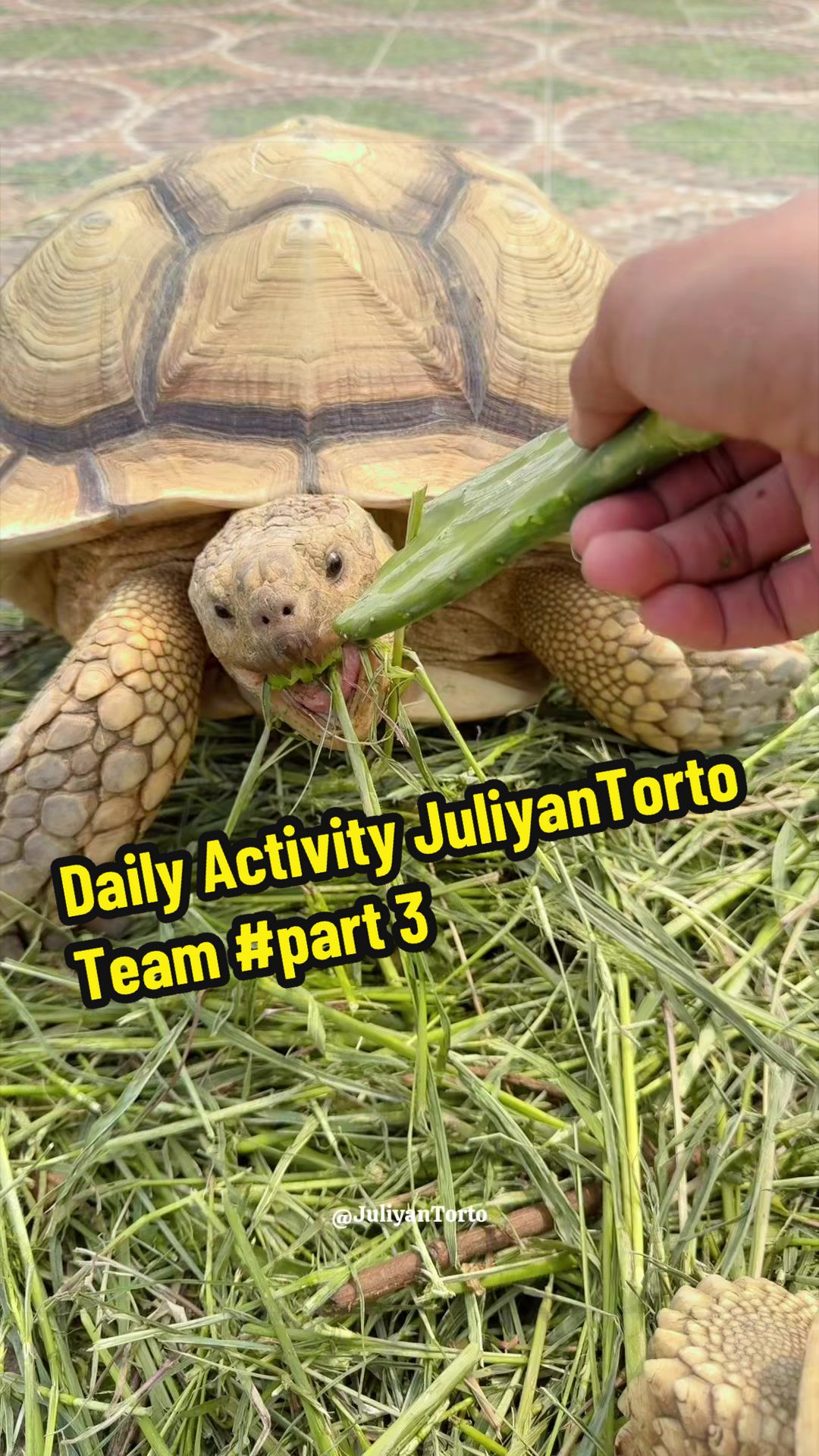 @JuliyanTorto