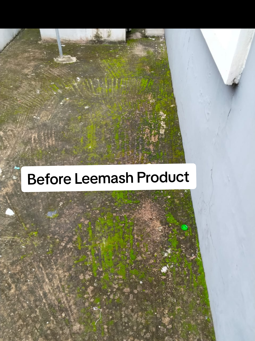 @Leemash cleaning products