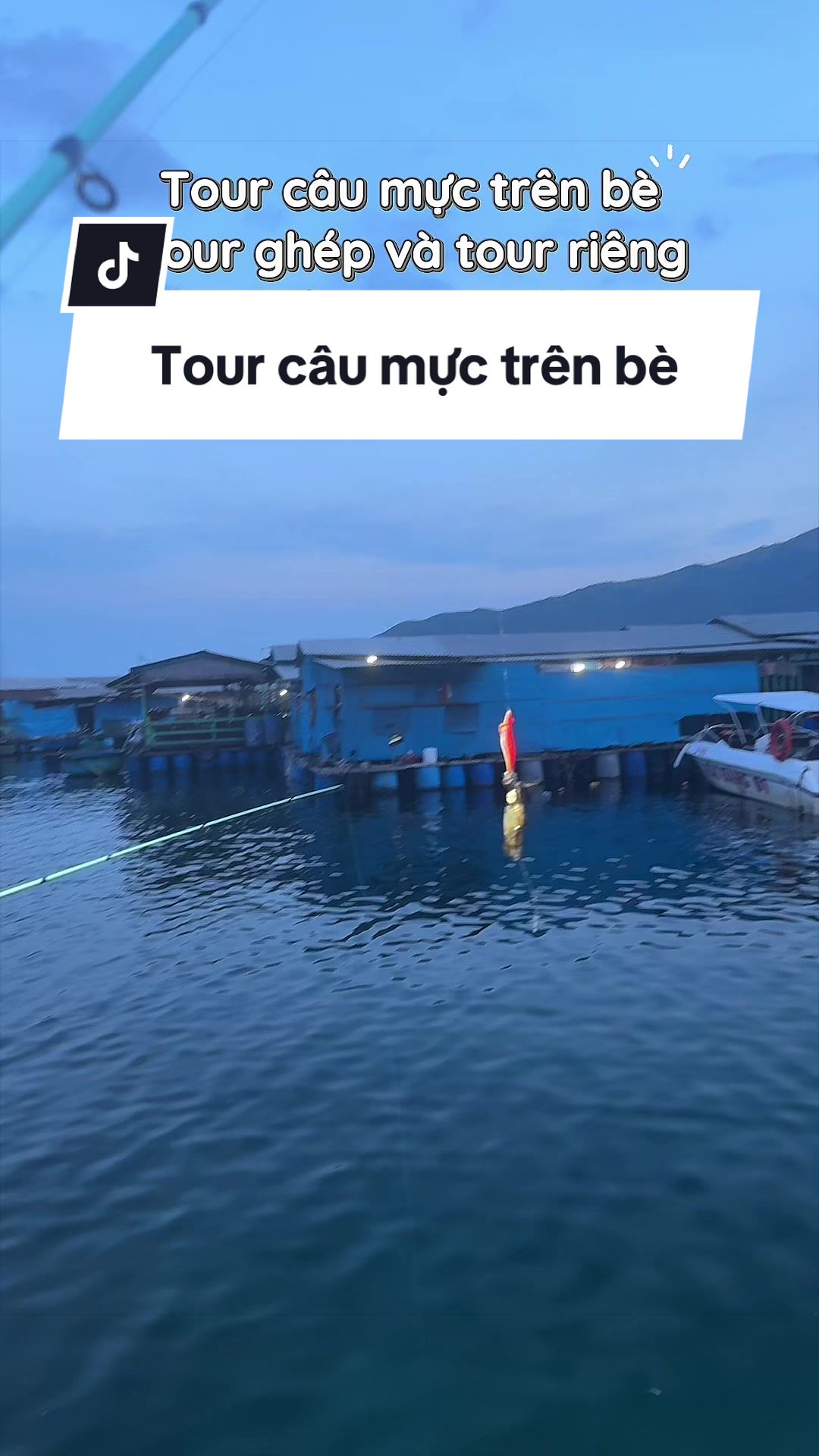 @Duy Tour C&acirc;u C&aacute; C&acirc;u Mực NTrang