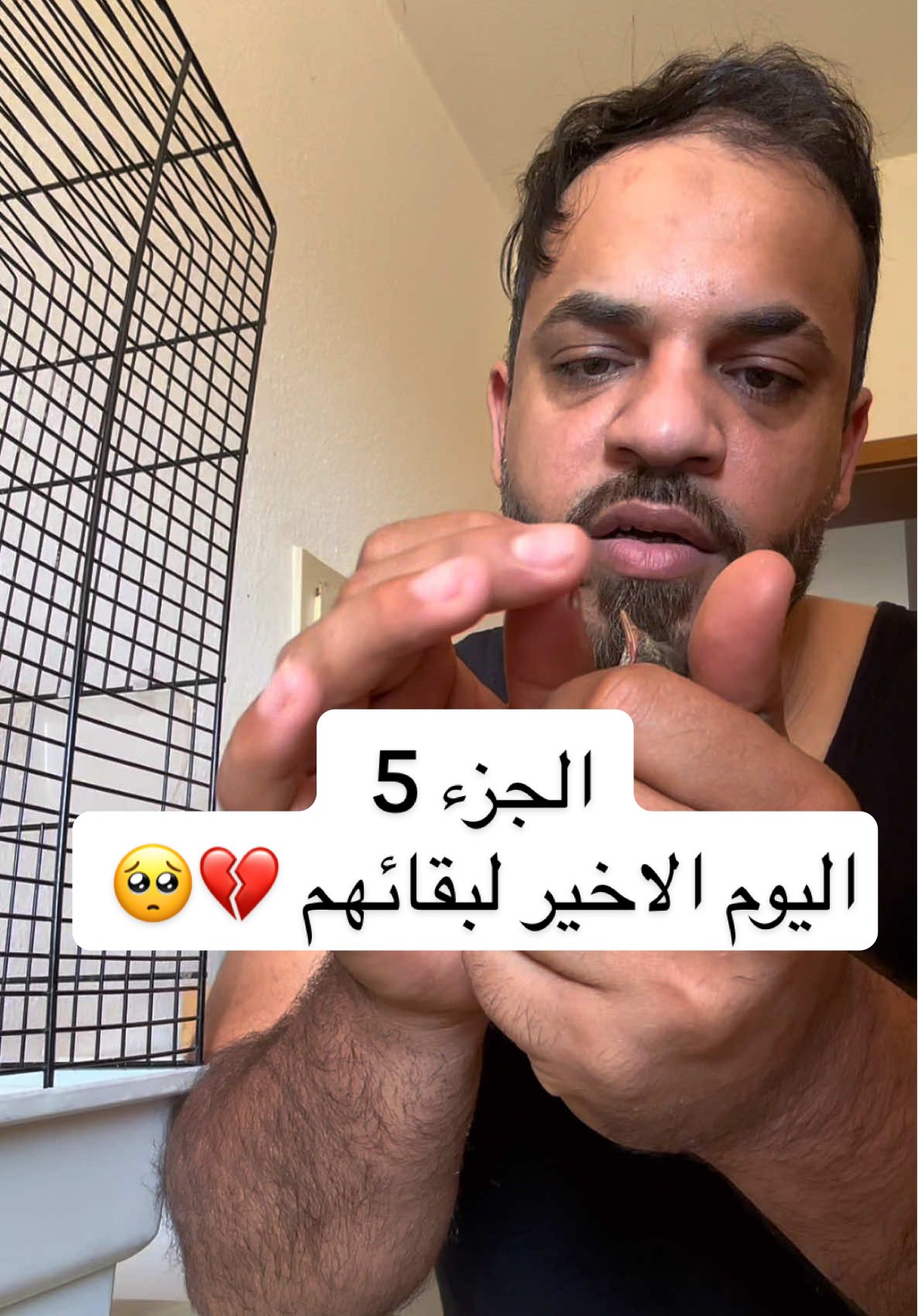 @ابونمر الملاكم MUSTAFA🇩🇪🇮🇶