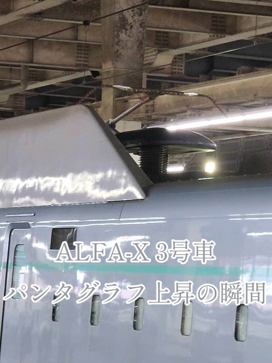 @🚅佐野武琉🚄✨