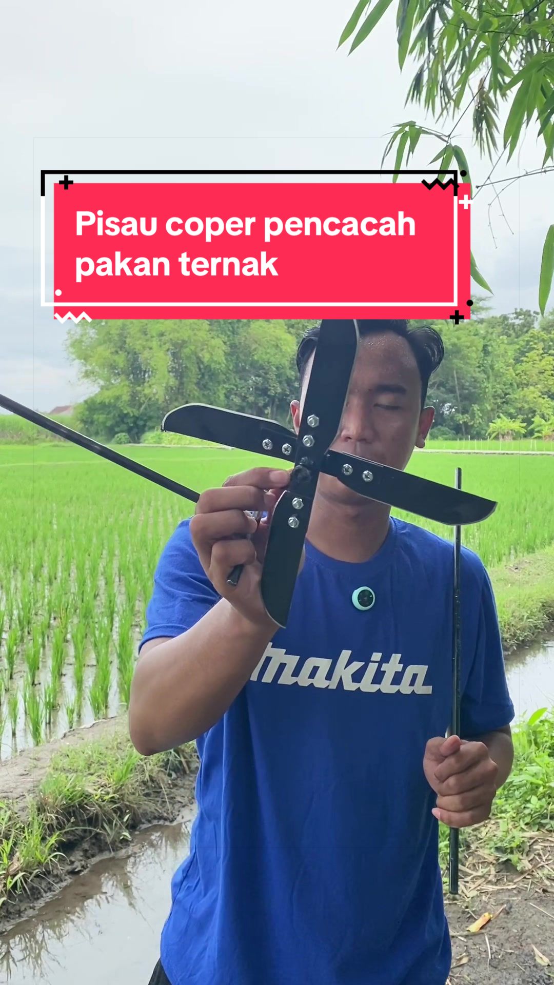 @Baberekomendasi