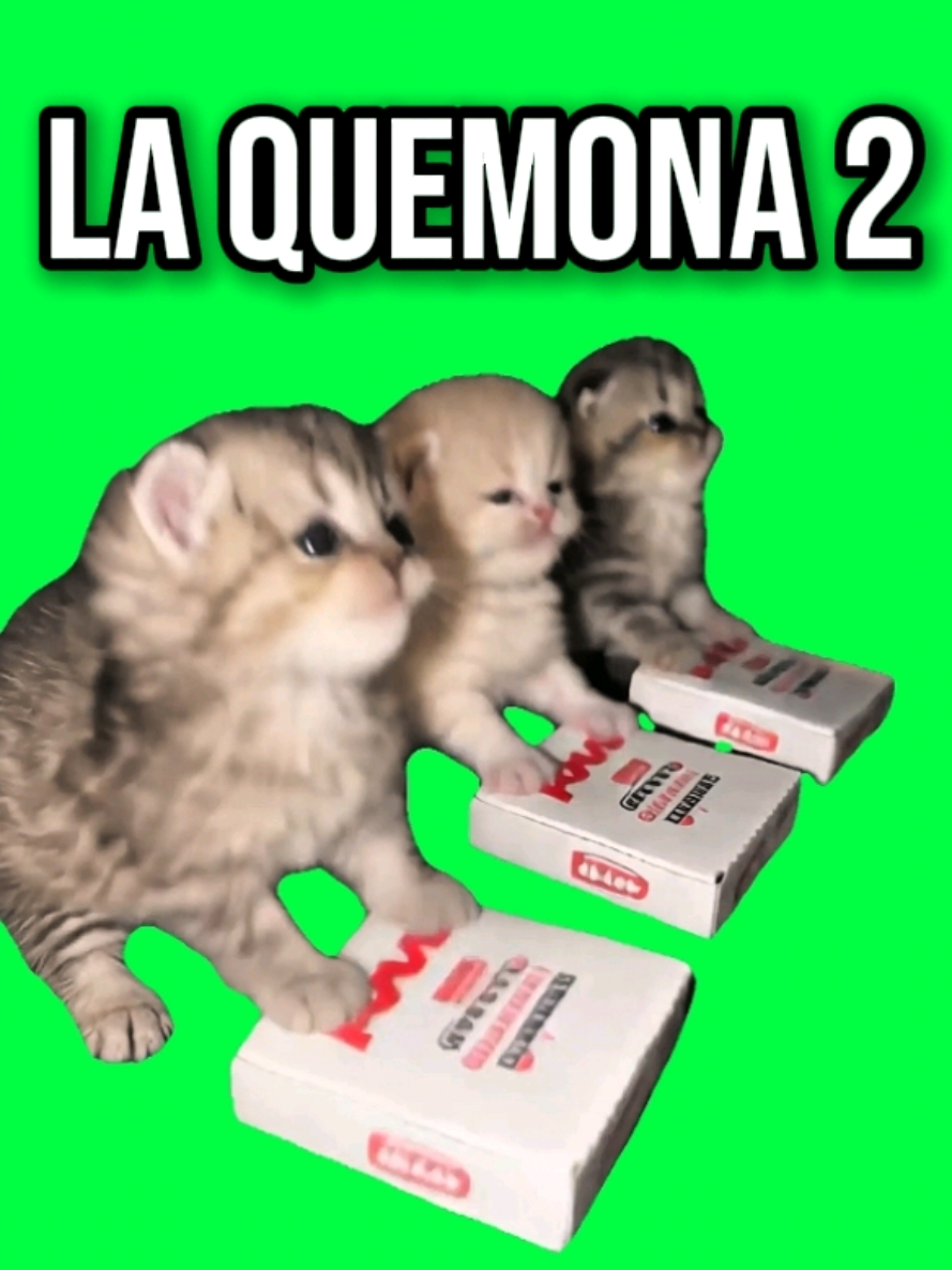 @MemeScreens