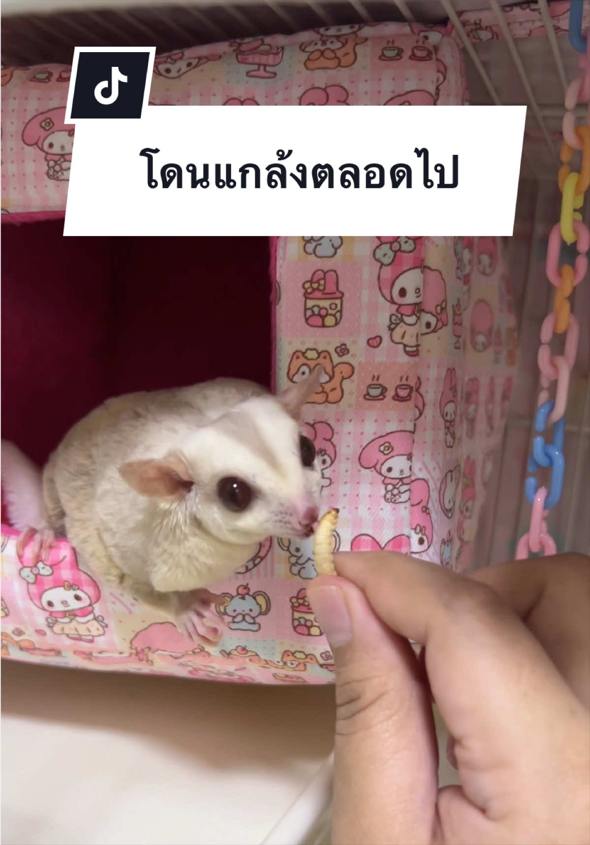 @anniezwoo