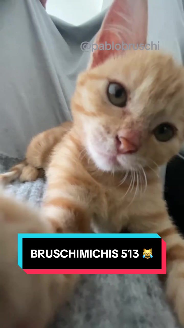 @Pablo Bruschi