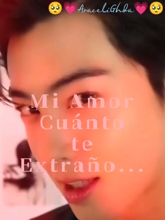 @araceli hernandez