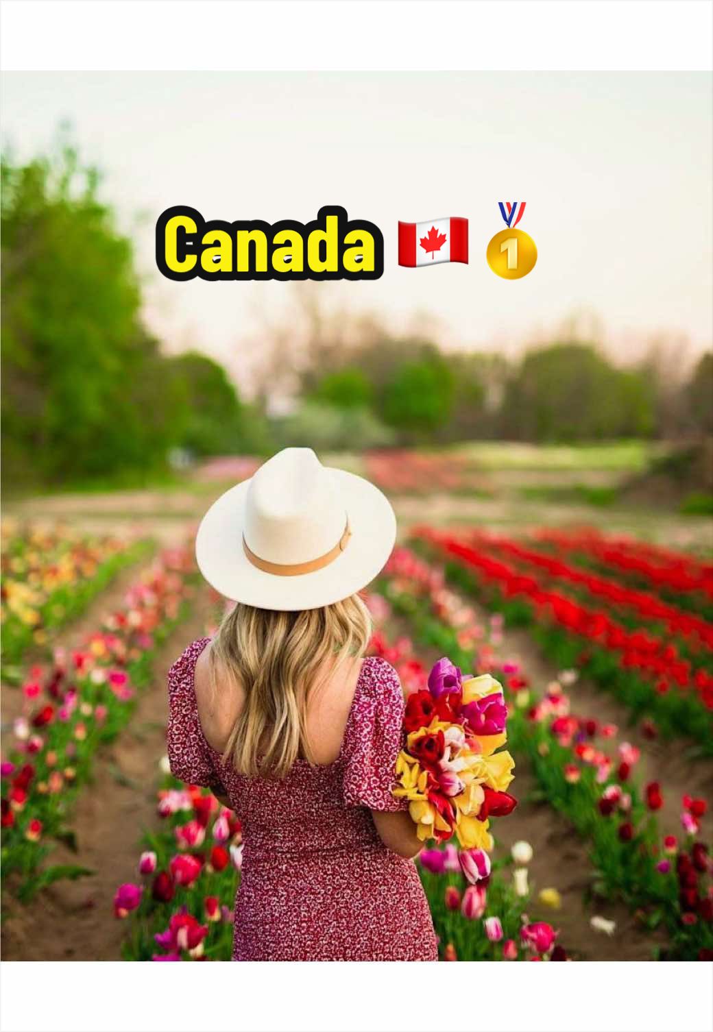 @Rasouli Reports 🇨🇦