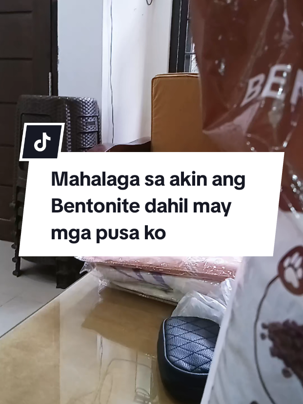 @inday alicia