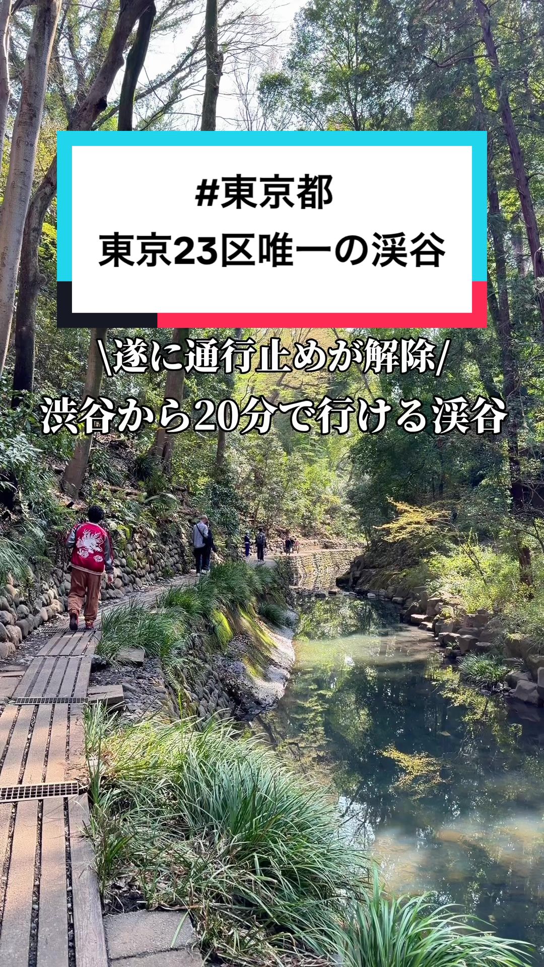 @映え旅けんと | 東京発の全国おでかけ情報