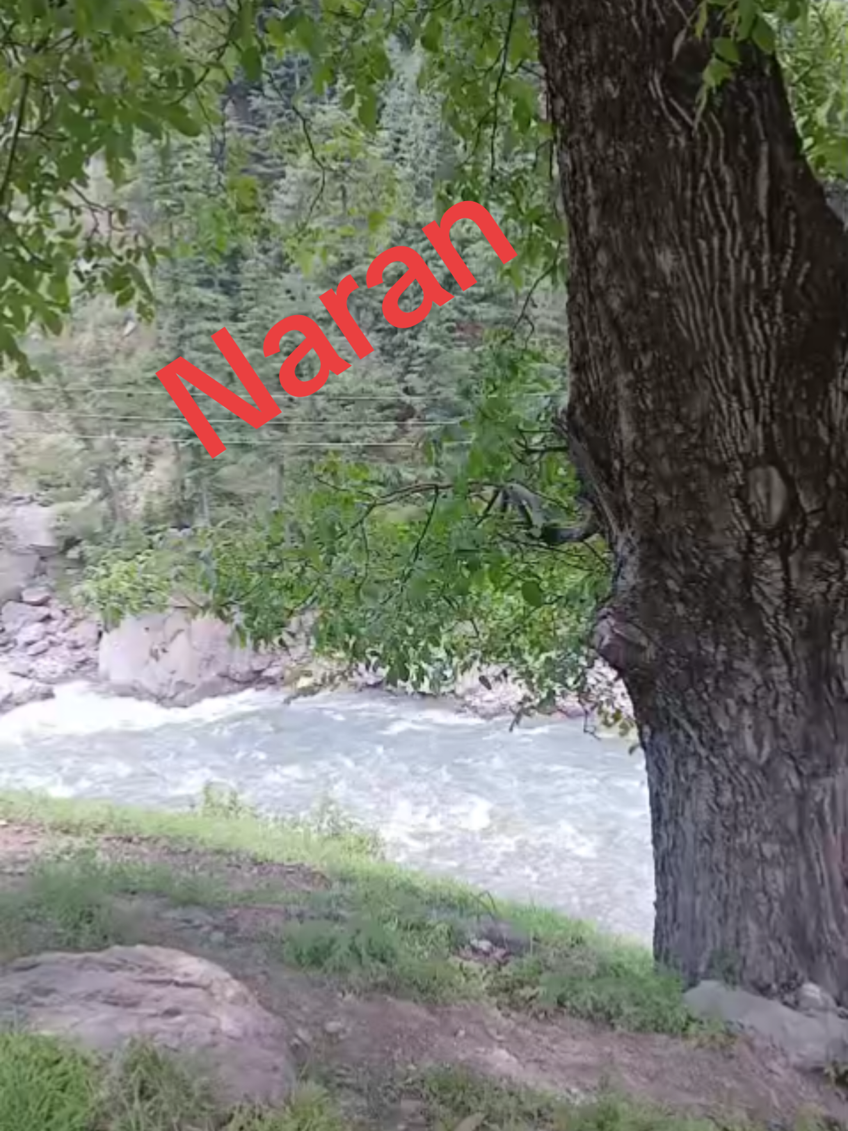 @Dr Rana Ashraf