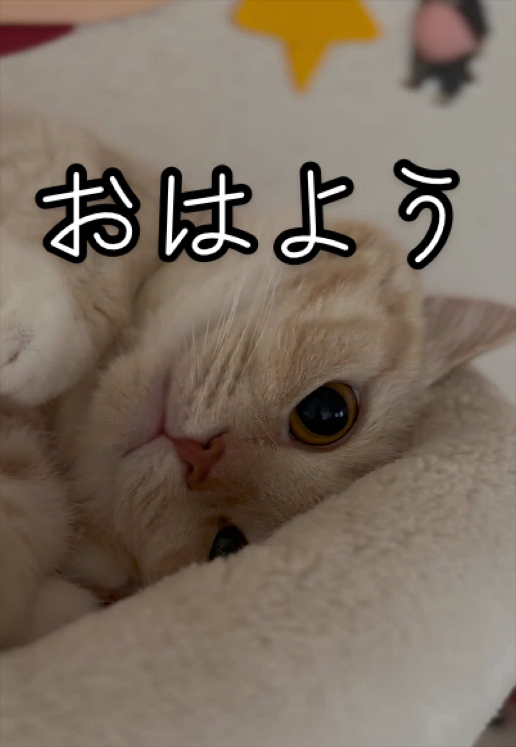 @縫くんと私