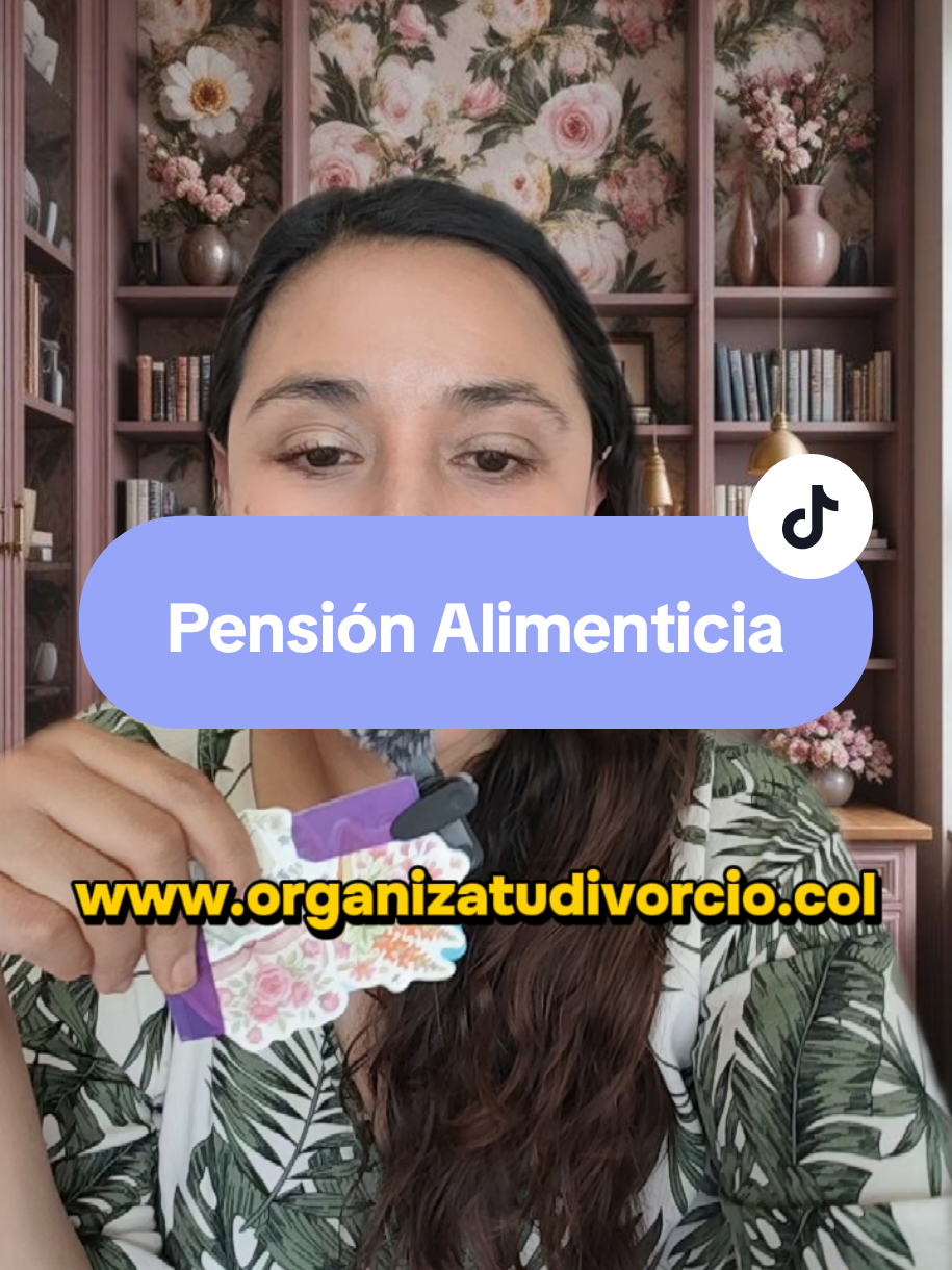 @organizatudivorcio