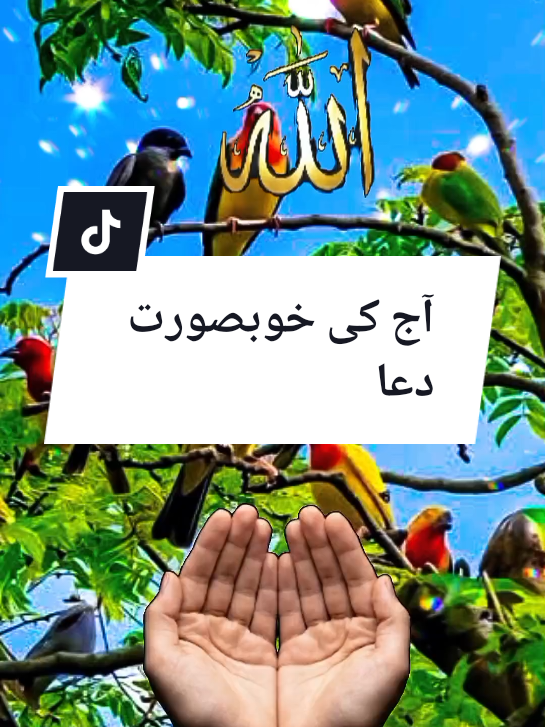 @➳ᴹᴿ✿࿐Äṛṡḧäḋ 786**•.¸♥¸.•*´💖