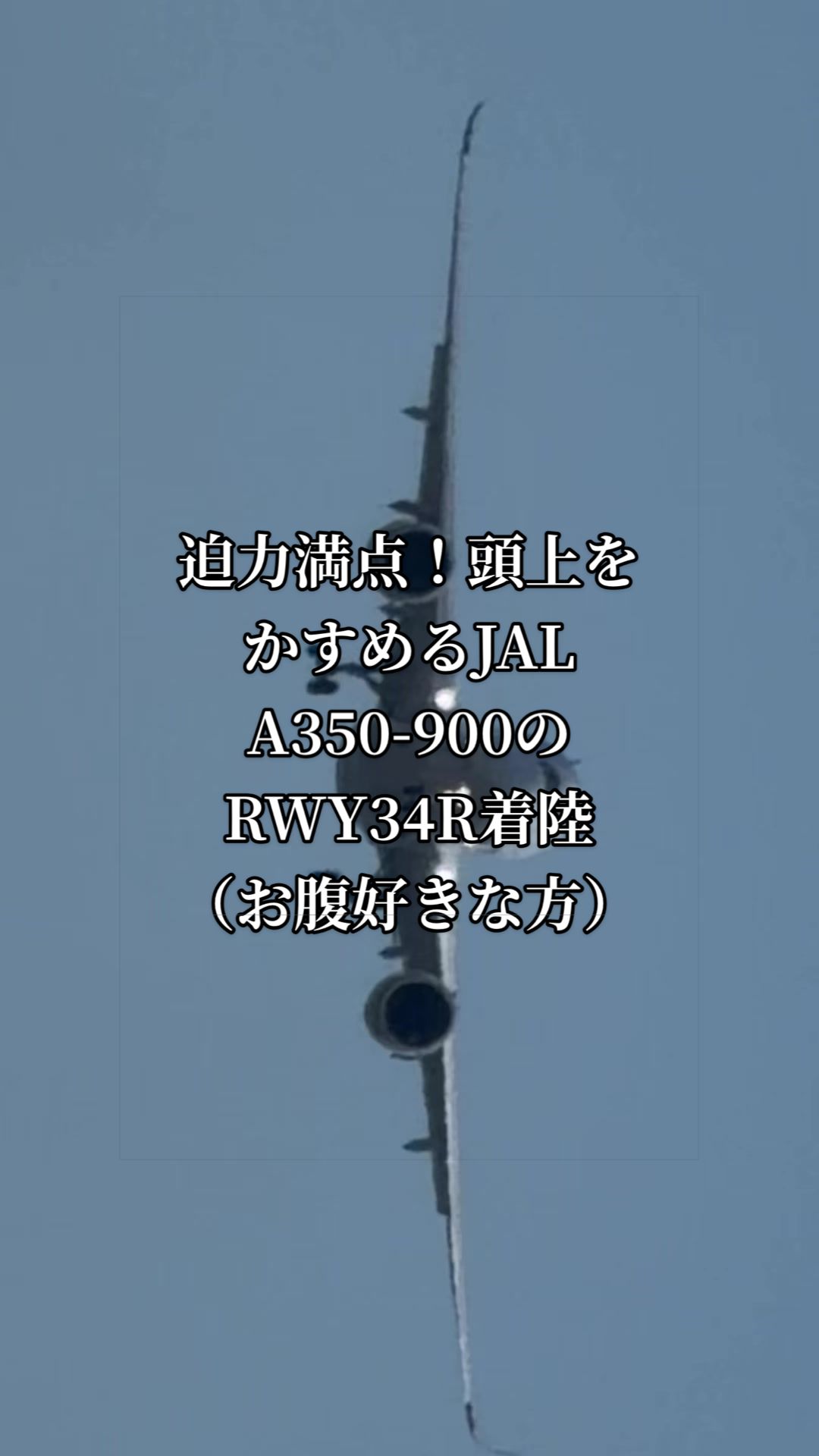 @✈️トト旦