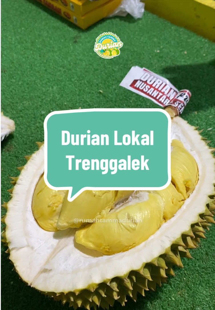 @Rumah Tamma Durian