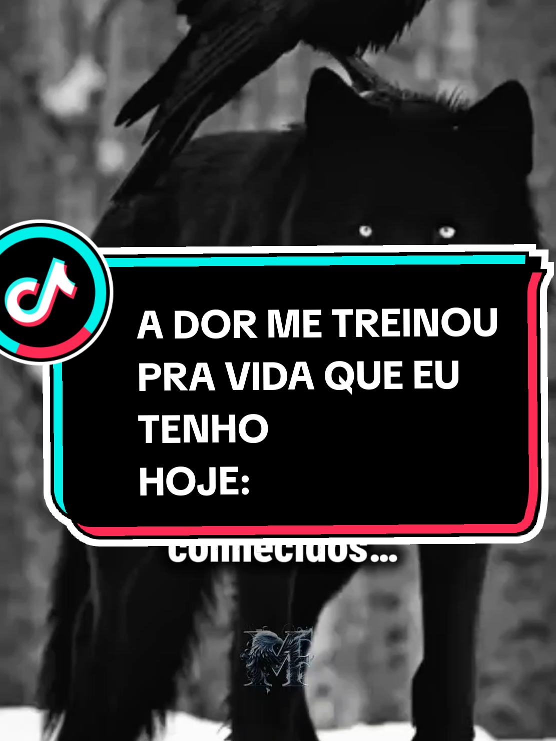 @Massa_FrasesOfc