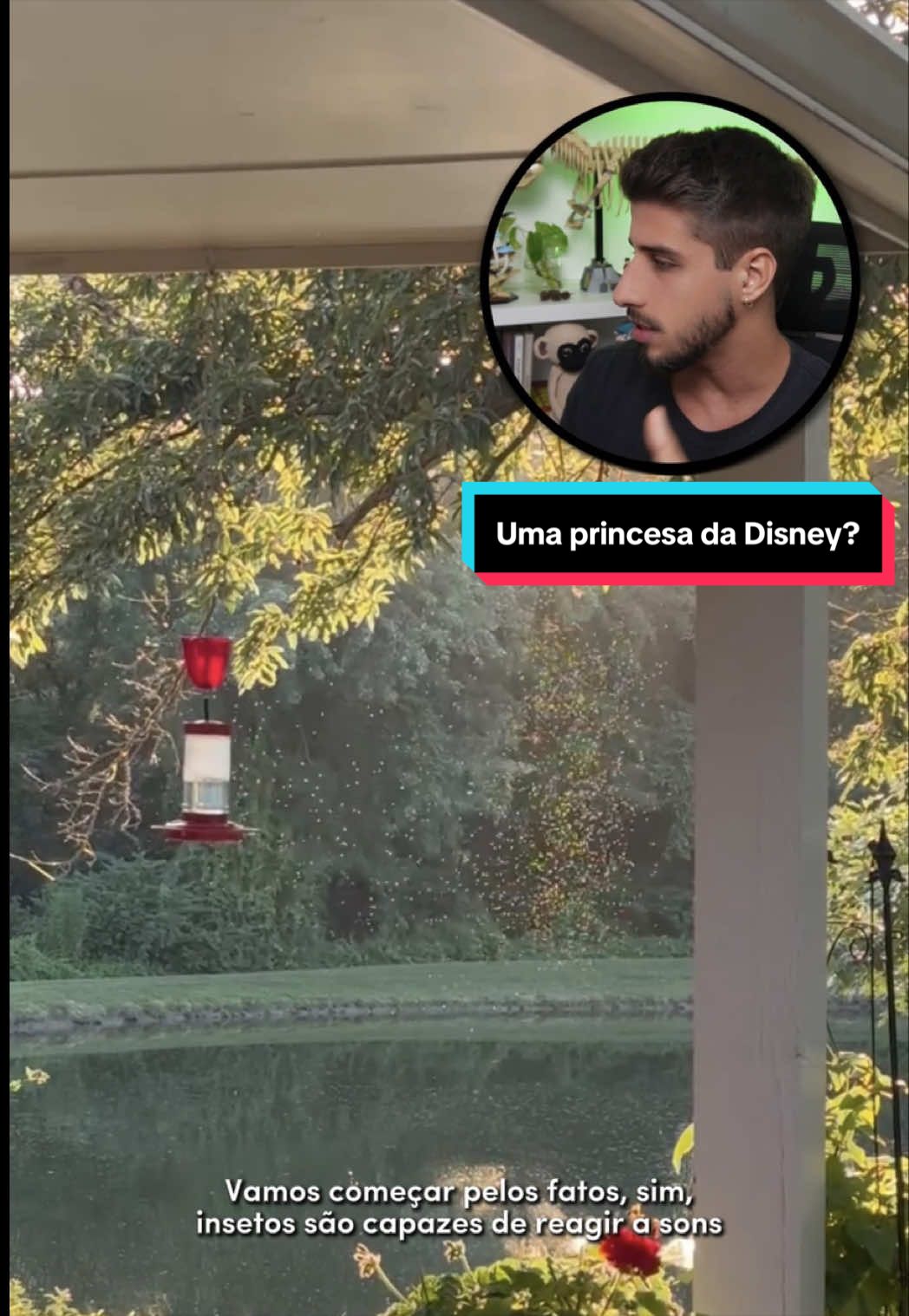 @Yago Stephano